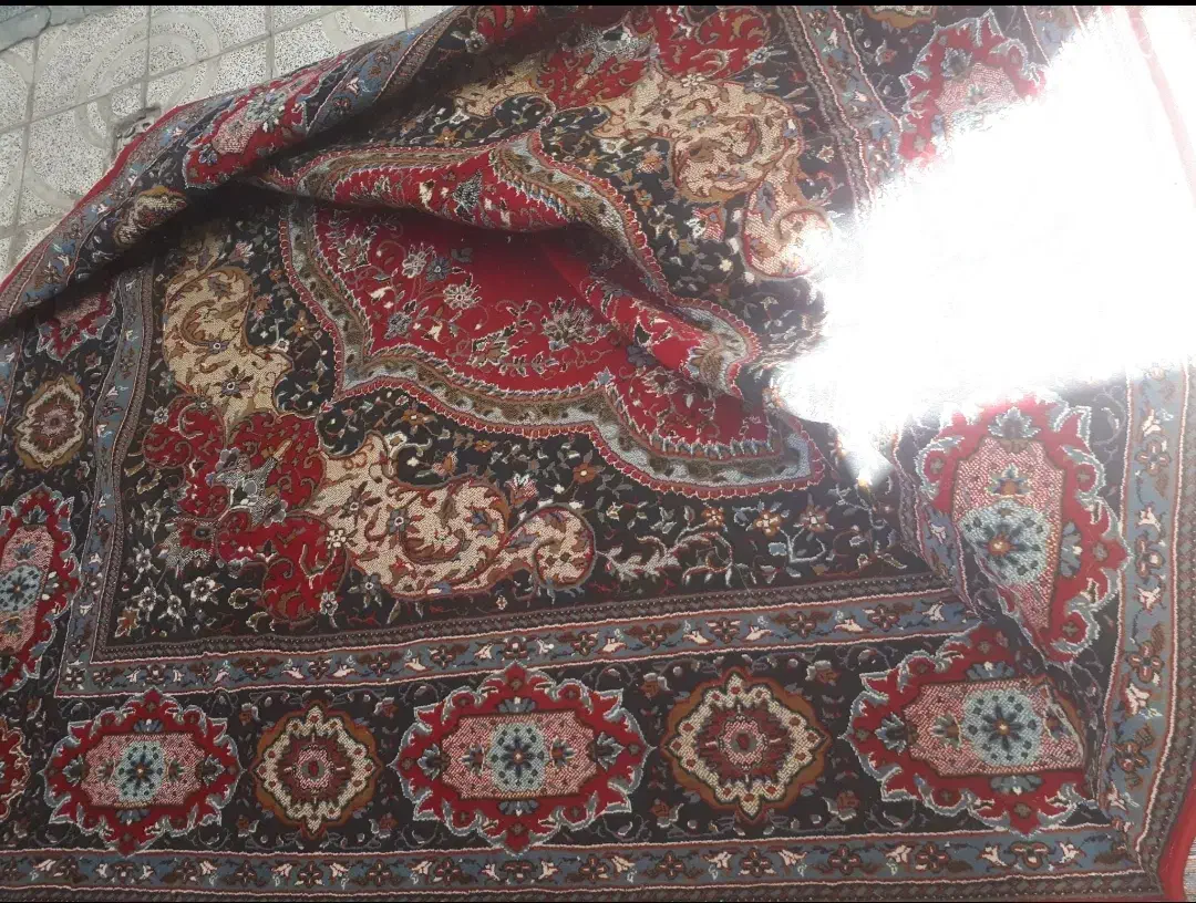 فرش ۱۲متری|فرش|زنجان, |دیوار