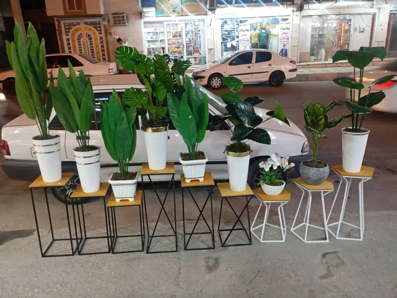 درختچه|گل مصنوعی|بندر کنگان, |دیوار