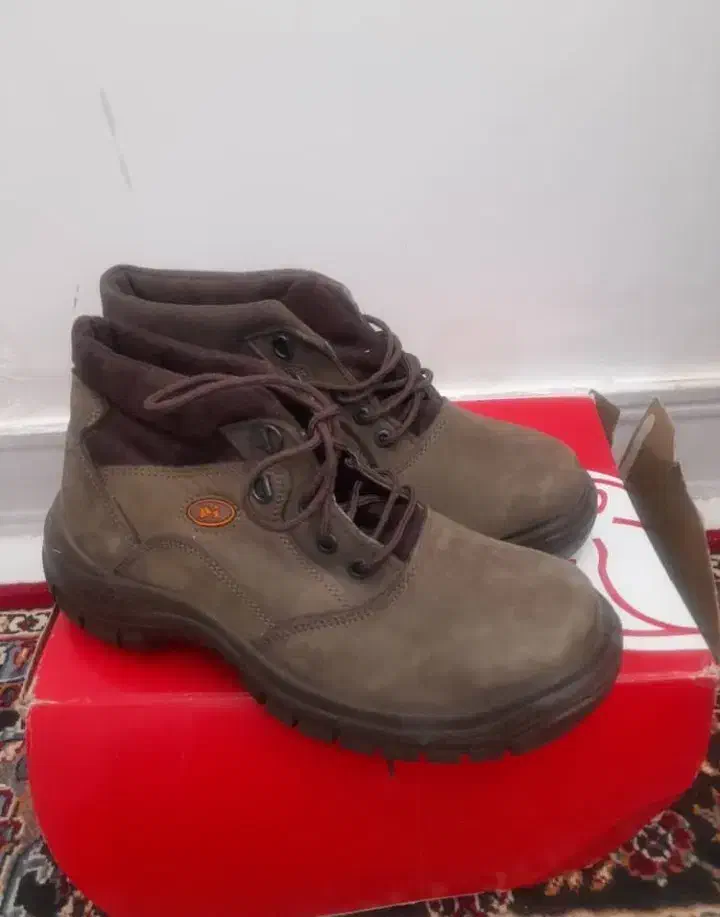 نیم پوت کوهنوردی|کیف، کفش، کمربند|شیراز, غدیر شمالی|دیوار