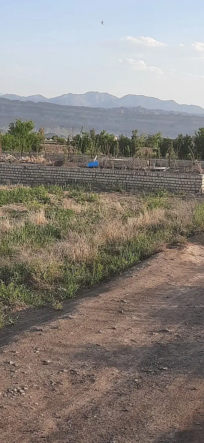 زمین کشاورزی در روستای جنت آباد باکاربری باغ|فروش زمین و ملک کلنگی|قنوات, |دیوار