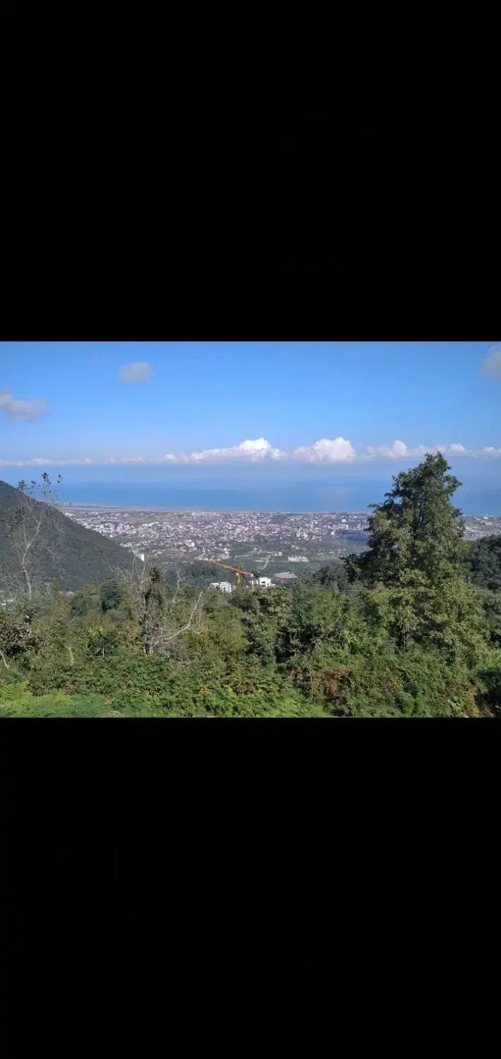 فروش زمین رامسر اربه‌ کله|فروش زمین و ملک کلنگی|رامسر, |دیوار