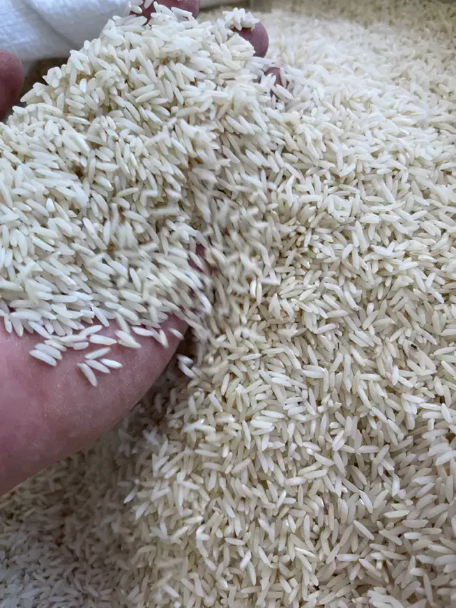 برنج صدری هاشمی و هاشمی محلی و طارم استخوانی|خوردنی و آشامیدنی|زنجان, |دیوار