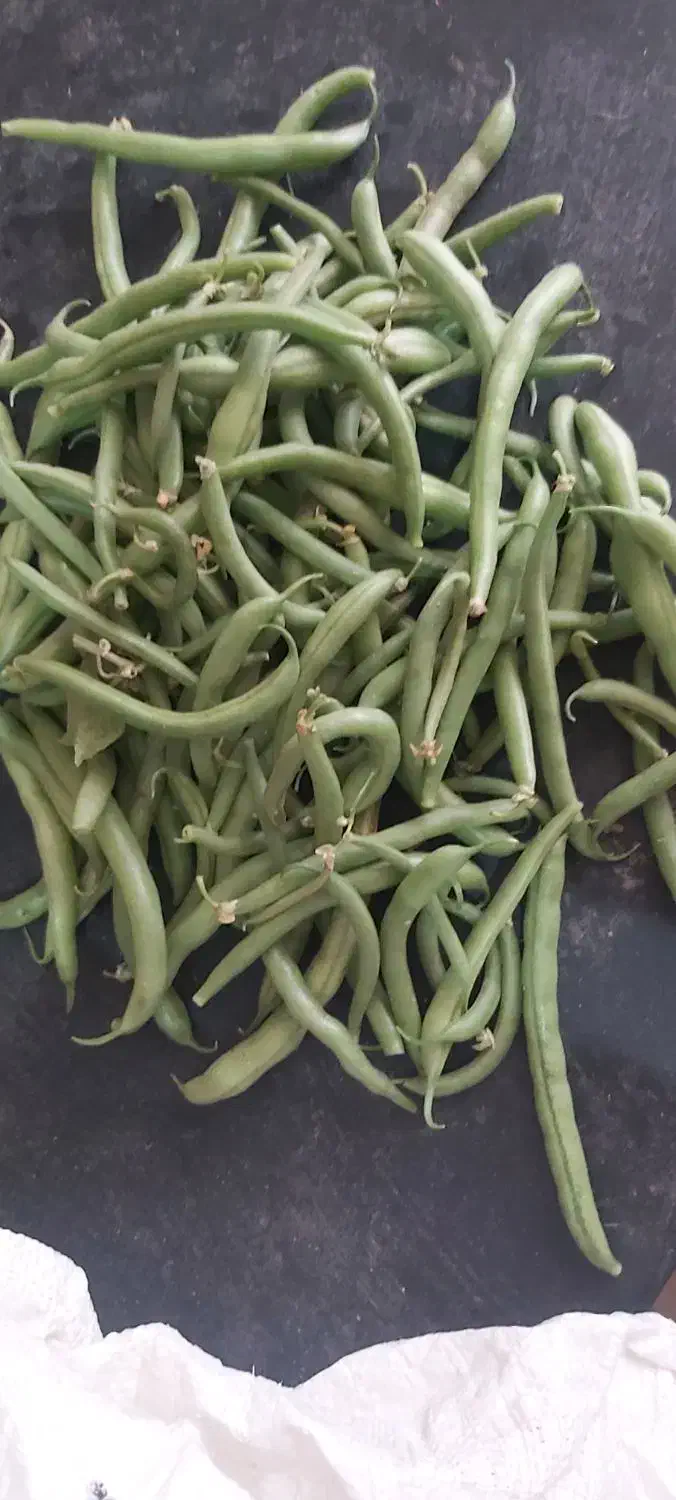 لوبیاسبز درجه یک|خوردنی و آشامیدنی|حسین آباد, |دیوار