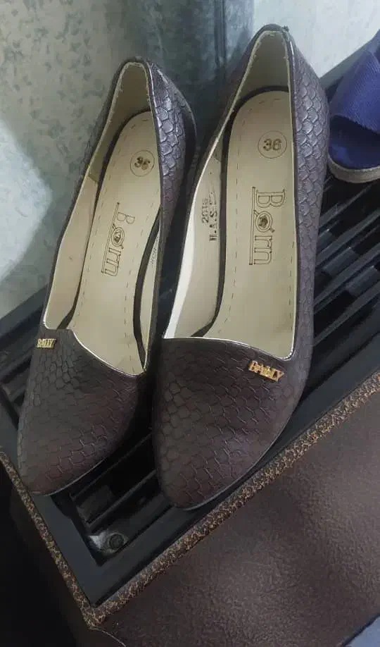 صندل|کیف، کفش، کمربند|بوشهر, |دیوار