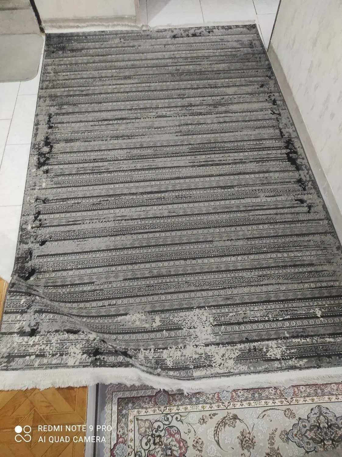 گلیم فروش|گلیم، جاجیم، گبه|همدان, |دیوار