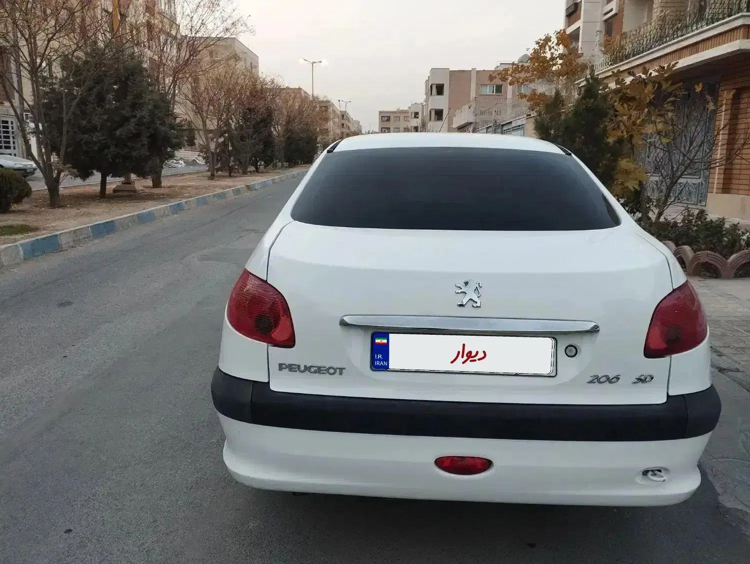 206SD موتور V8 مدل 94|خودرو سواری و وانت|فولادشهر, C3|دیوار
