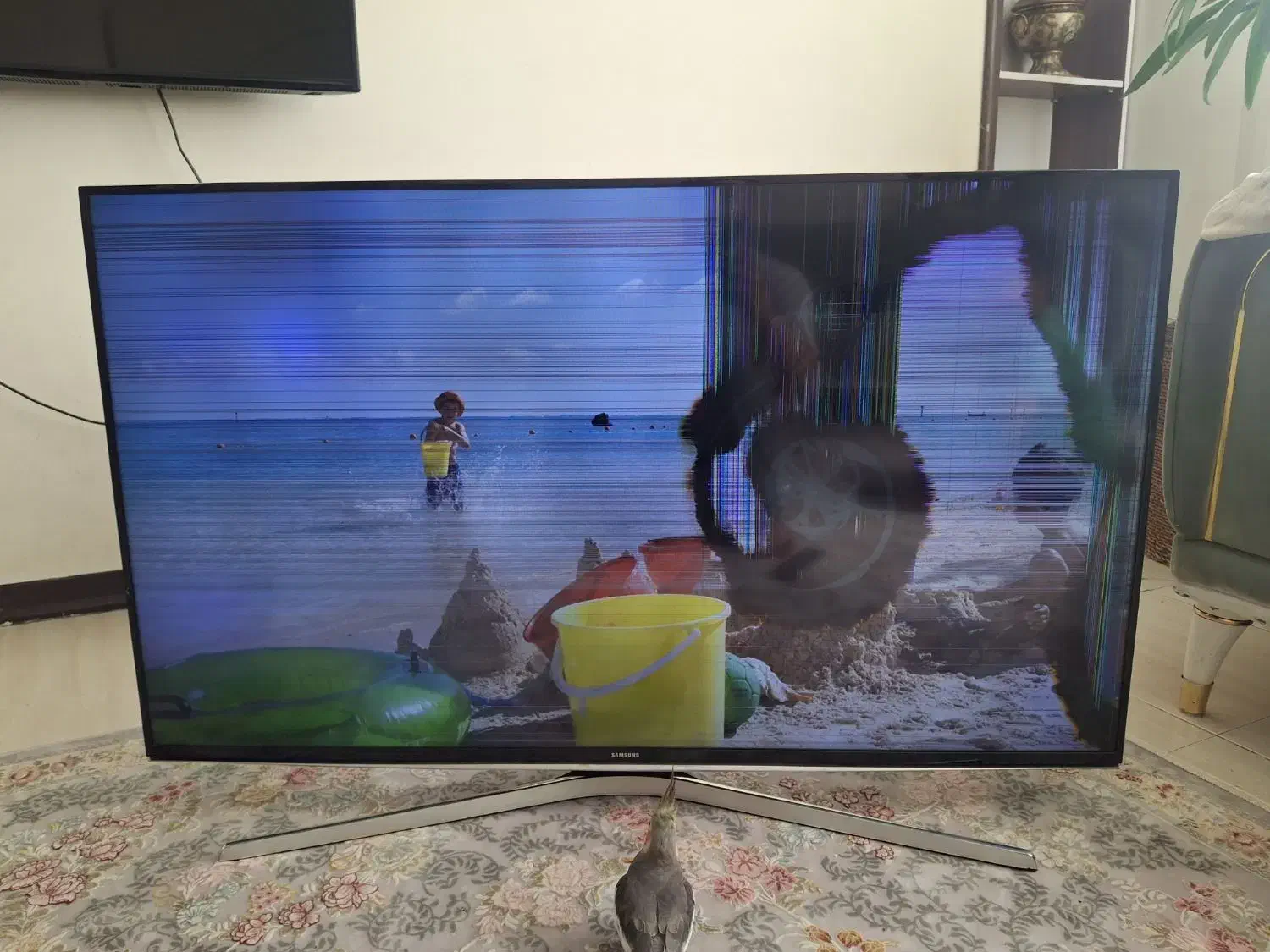 تلویزیون شکسته سامسونگ|تلویزیون و پروژکتور|ملارد, |دیوار