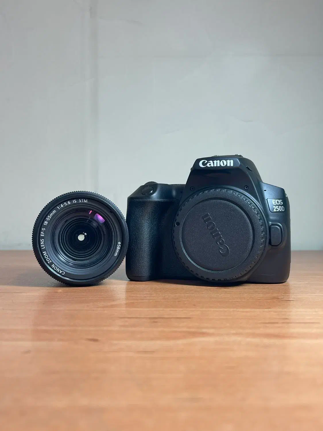دوربینcanon 250d همراه با لوازم جانبی مورد نیاز|دوربین عکاسی و فیلمبرداری|تهران, میدان ولیعصر|دیوار