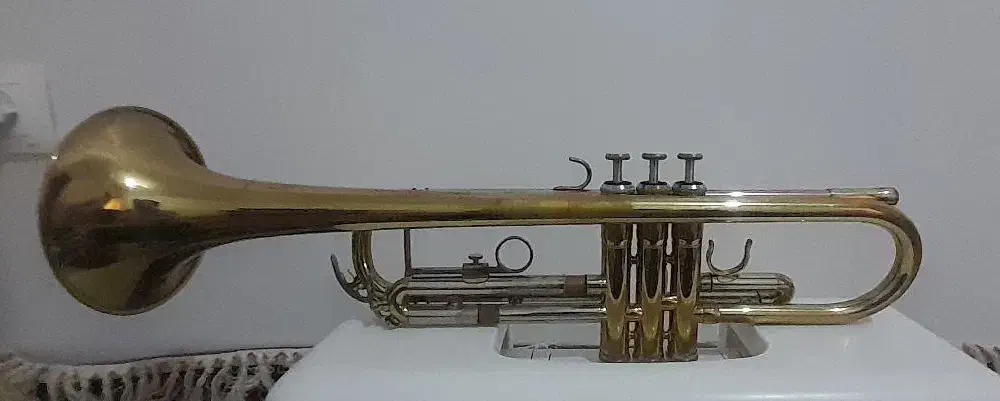 اصل آلمان|سازهای بادی|تهران, شیخ هادی|دیوار