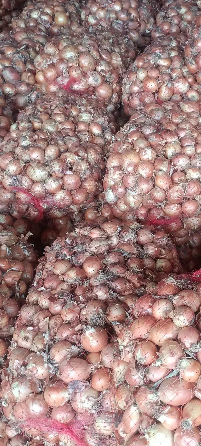 پیاز|خوردنی و آشامیدنی|پارس‌آباد, |دیوار