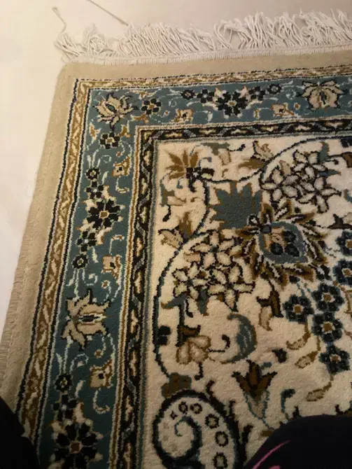 Iفرش ۶و۱۲متری|فرش|نوشهر, |دیوار