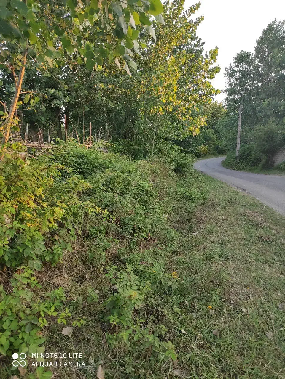 زمین با جواز ساخت با چشم انداز تالاب و باغات چای|فروش زمین و ملک کلنگی|آستانه اشرفیه, |دیوار