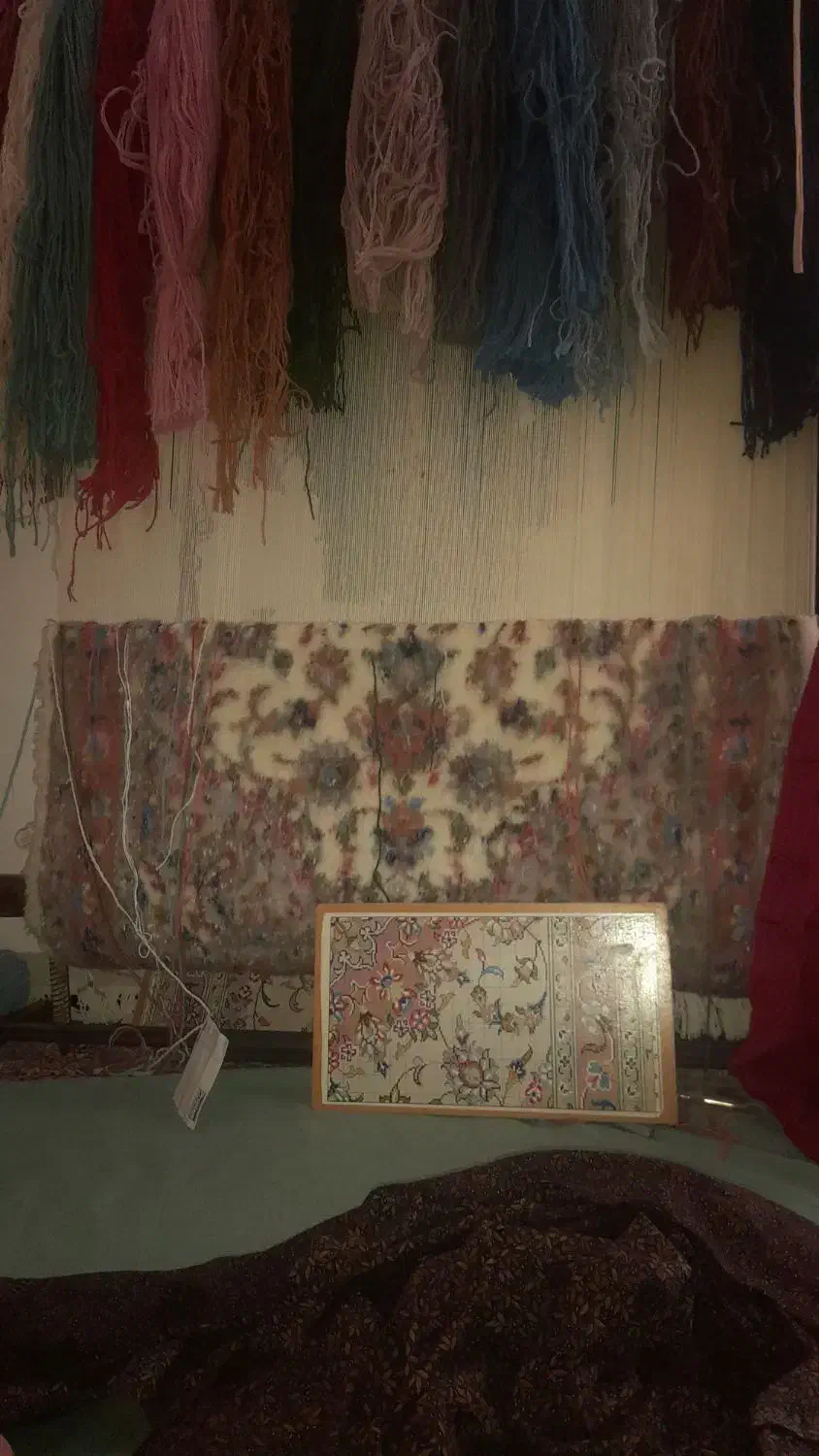 قالی چهار نشونی|فرش|اشکذر, |دیوار