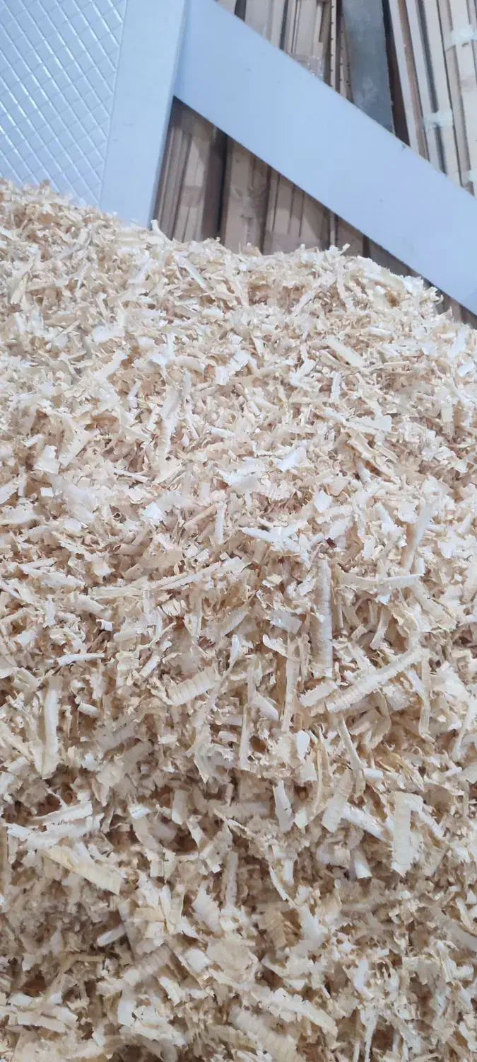 پوشال چوب|لوازم جانبی حیوانات|رشت, آتشگاه|دیوار