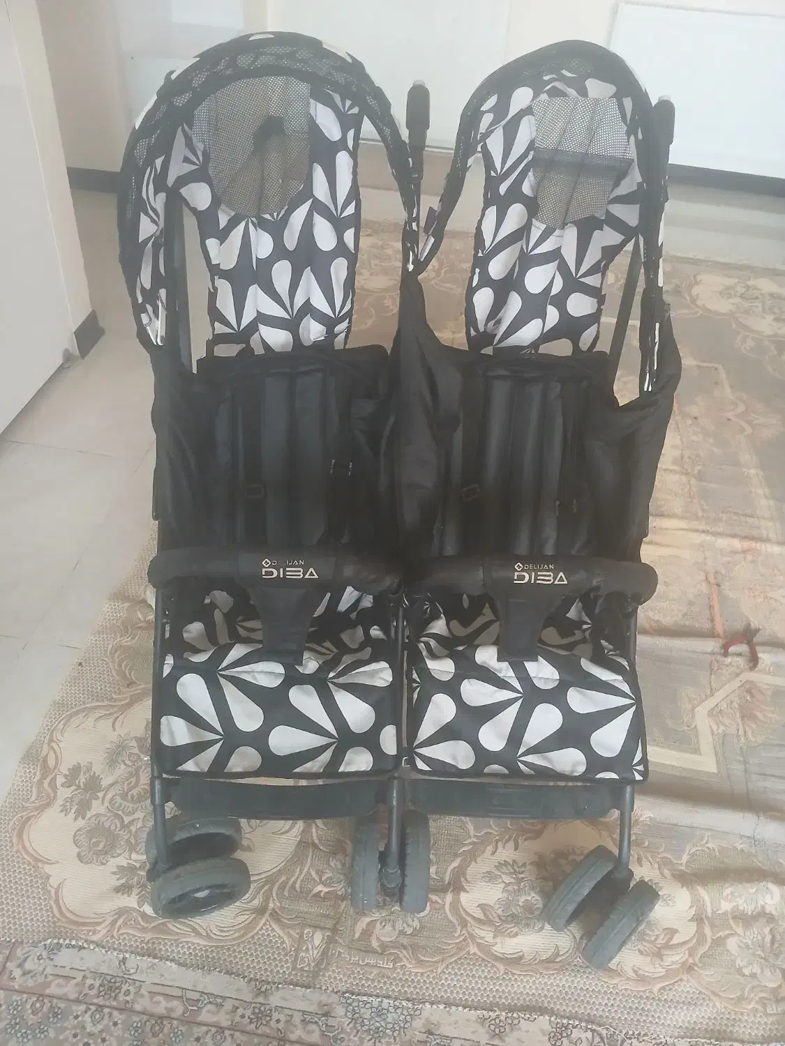 کالسکه دوقلو دلیجان|کالسکه و لوازم جانبی|شاهین‌شهر, اقبال لاهوری|دیوار