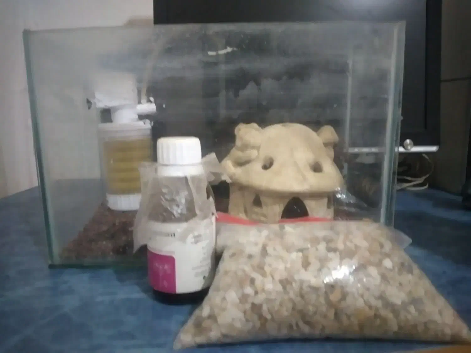 آکوٌآریوٌمً بًآ وٌسِآیلَ|ماهی|ملایر, |دیوار