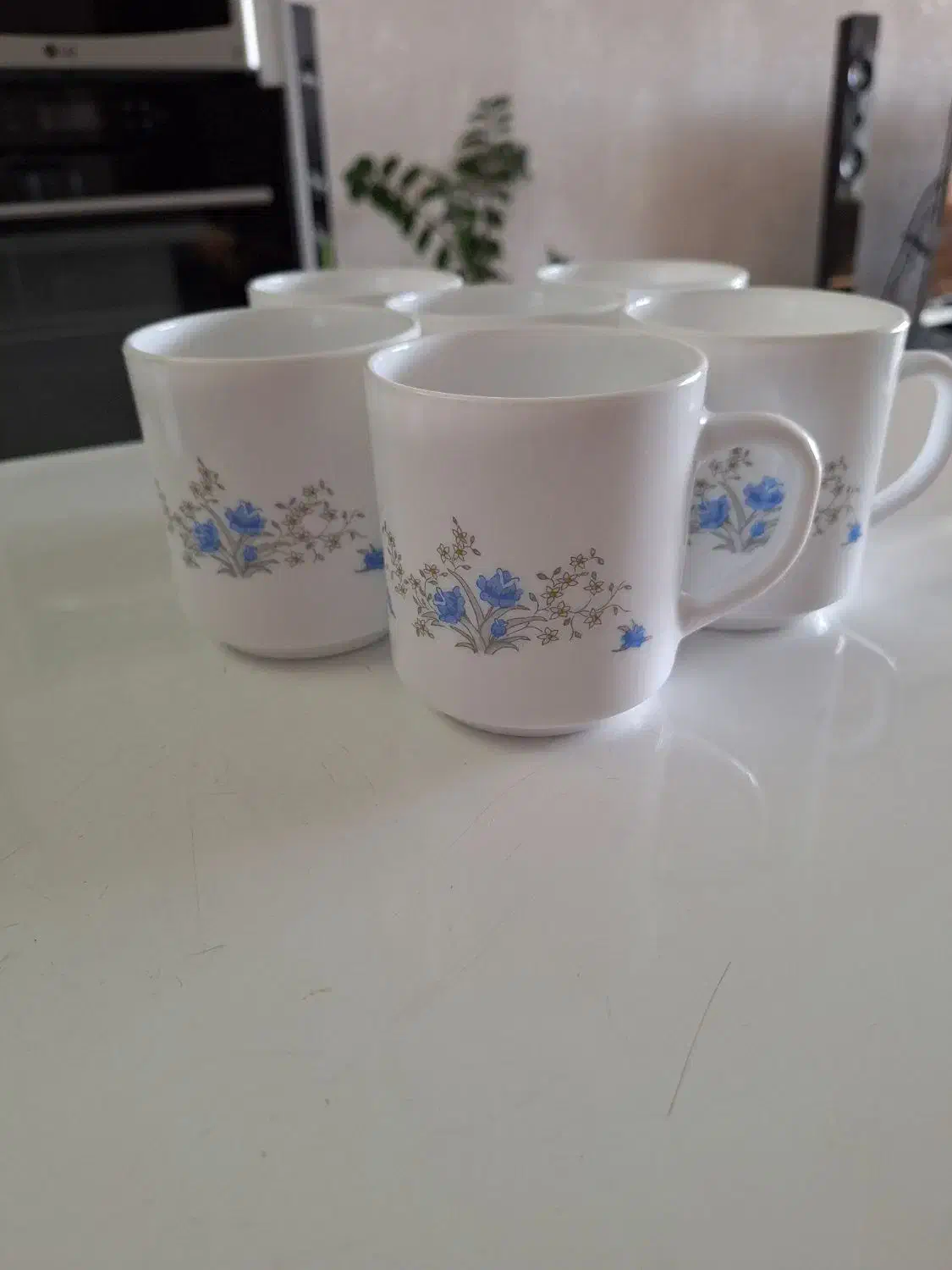 ظروف|ظروف سرو و پذیرایی|اصفهان, شفق|دیوار