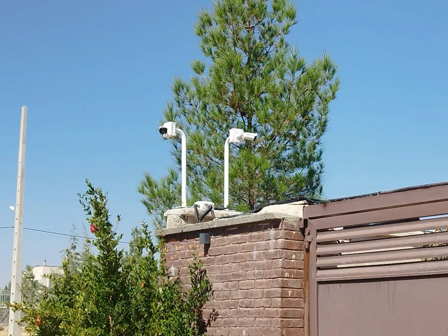 برقکار|خدمات پیشه و مهارت|شیراز, معالی‌آباد|دیوار