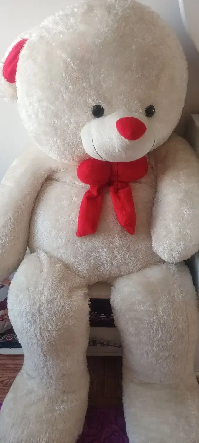 خرس بزرگ وتاب ریلکس|اسباببازی|الیگودرز, |دیوار