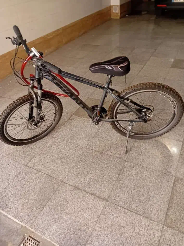 دوچرخه|دوچرخه، اسکیت، اسکوتر|تهران, کاج|دیوار