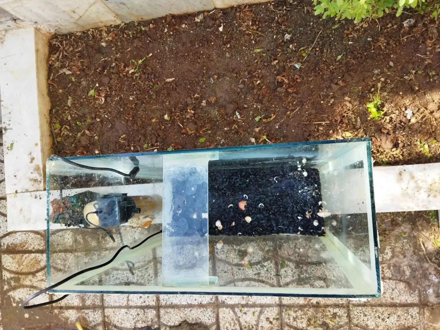 آکواریوم|ماهی|تربت‌حیدریه, ۴۵ متری|دیوار