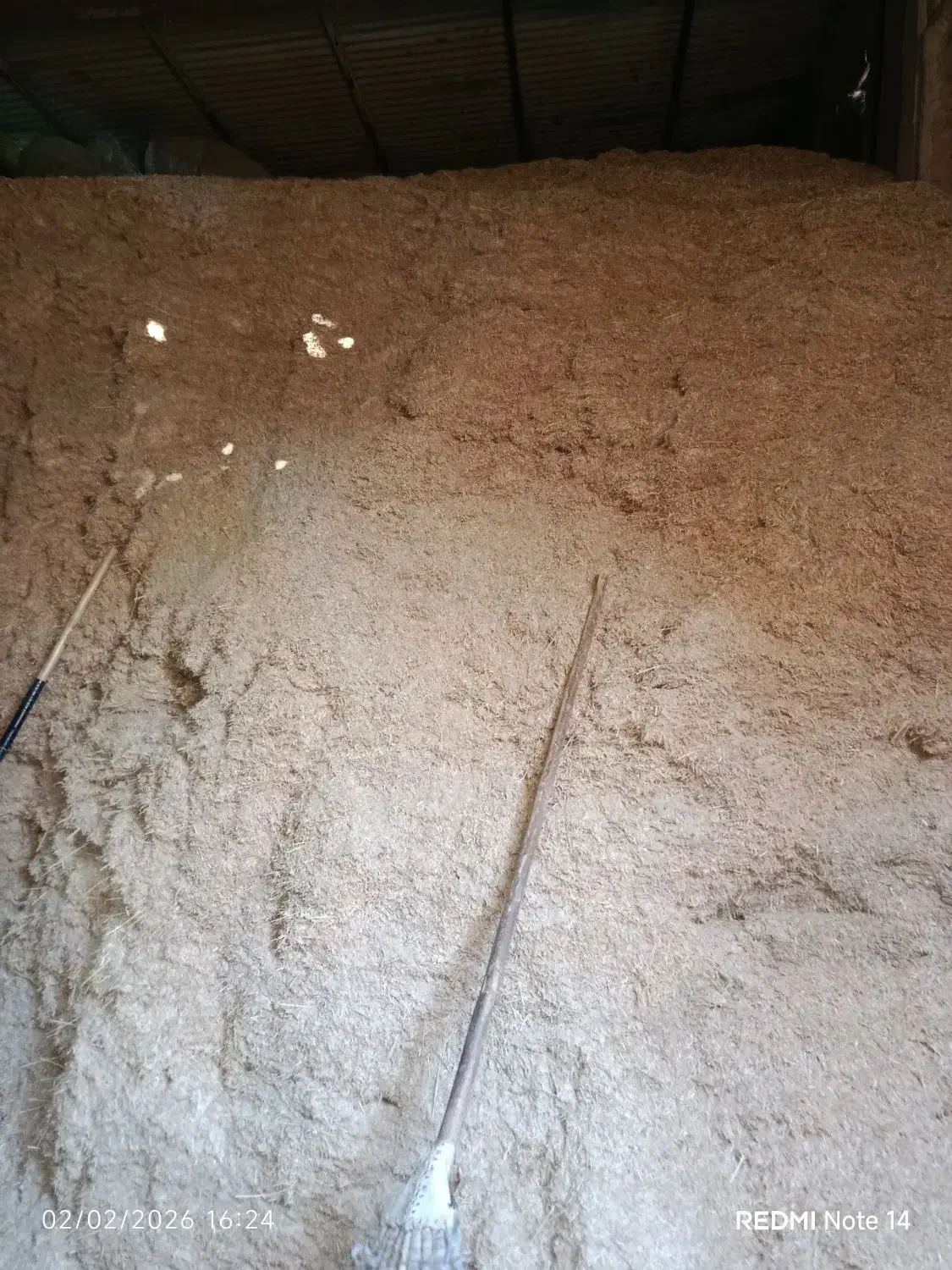 کاه گندم دیم|لوازم جانبی حیوانات|جوکار, |دیوار