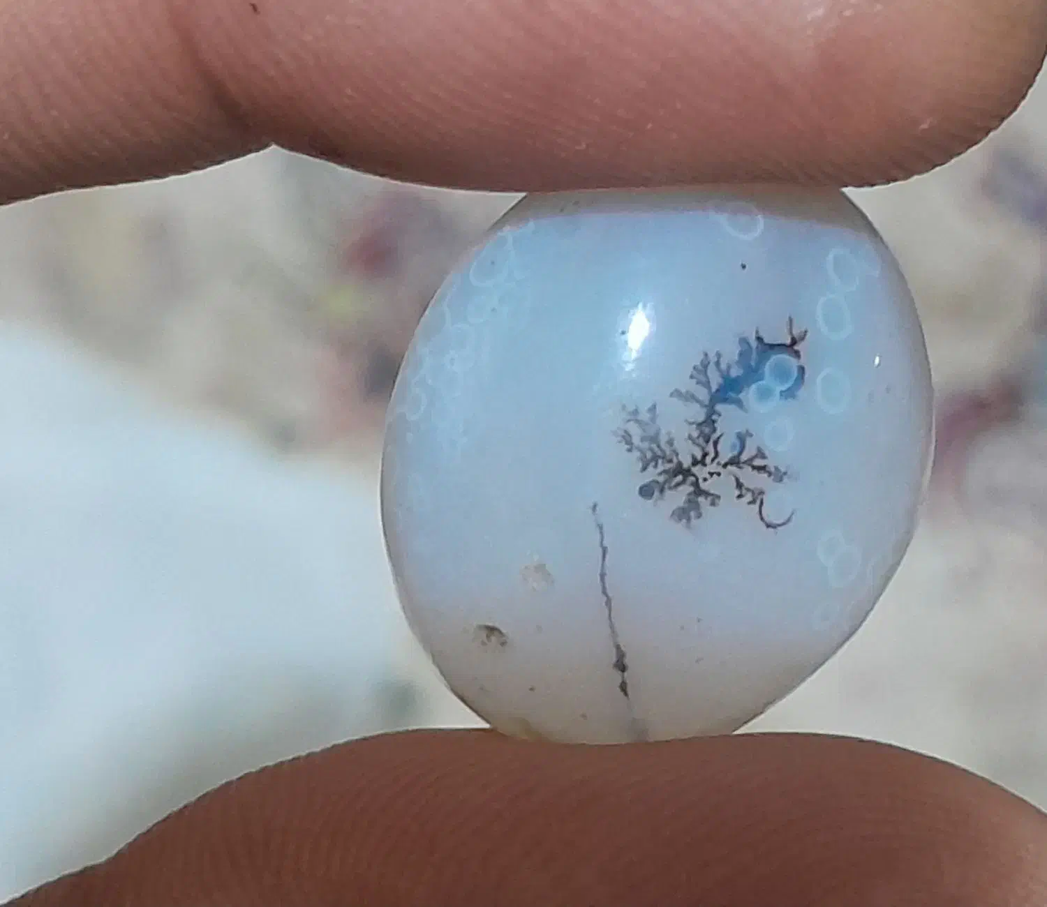 سنگ شجر و اوپال هفت رنگ|جواهرات|اهواز, بهارستان|دیوار