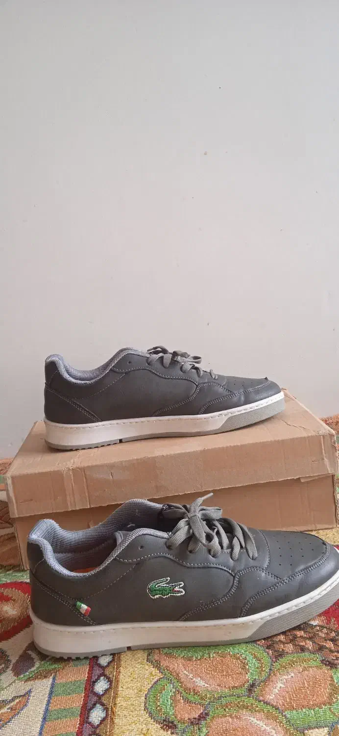 کفش کتانی|کیف، کفش، کمربند|اسفراین, |دیوار