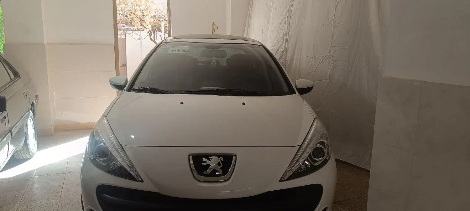 پژو 207|خودرو سواری و وانت|پرند, فاز ۱|دیوار