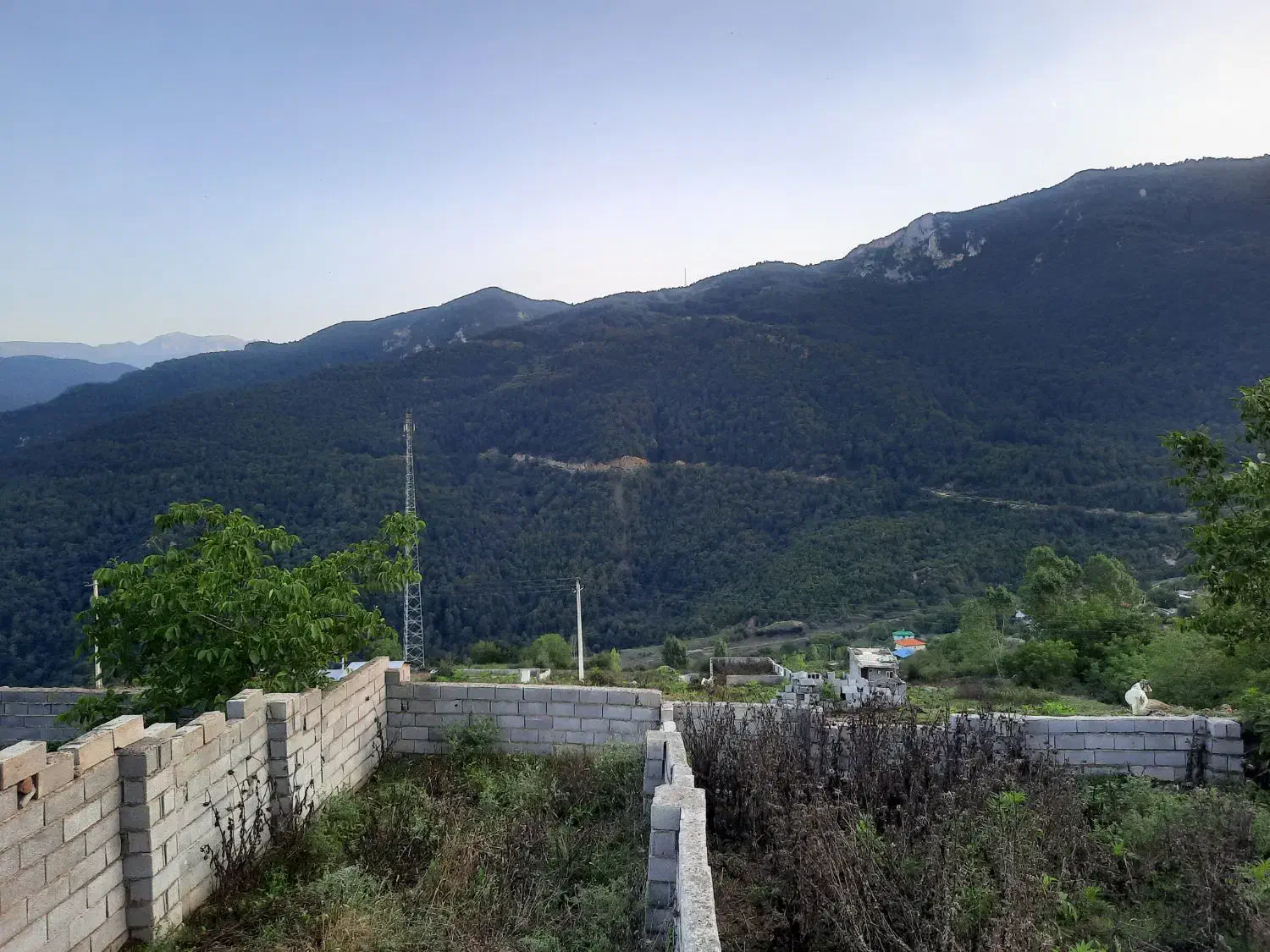 فروش زمین مسکونی در ییلاق با ویو ابدی|فروش زمین و ملک کلنگی|آلاشت, |دیوار