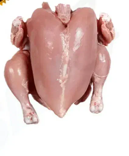 مرغ سبز ، مرغ گوشتی|حیوانات مزرعه|گوراب زرمیخ, |دیوار