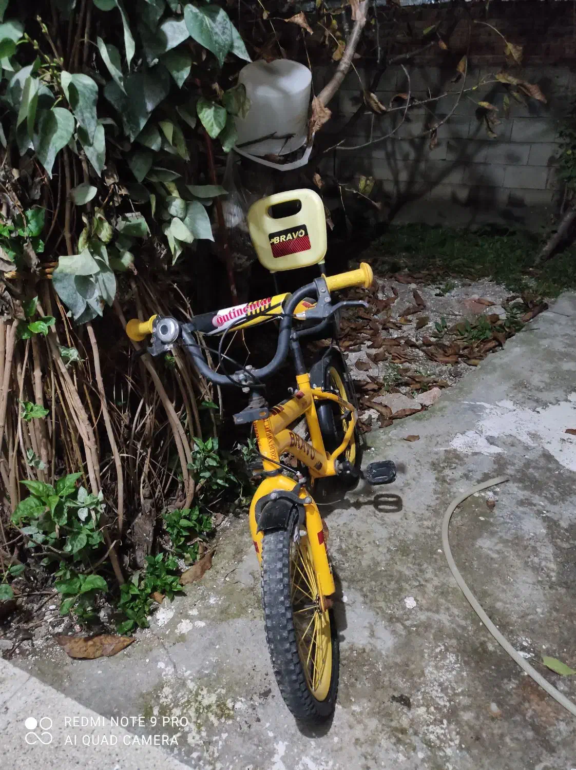 دوچرخه  16|دوچرخه، اسکیت، اسکوتر|گرمی, |دیوار