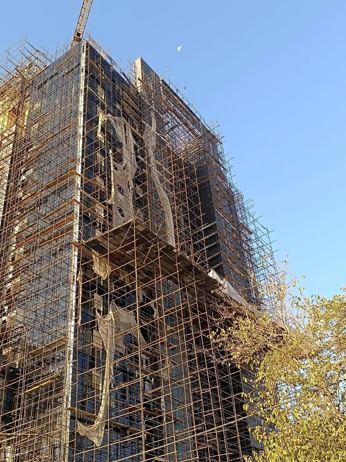 داربست فلزی پارسا|خدمات پیشه و مهارت|تهران, نیلوفر|دیوار