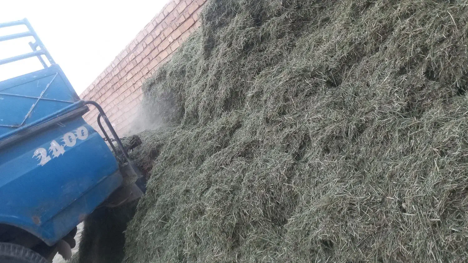 خرید فروش پرس یونجه و یونجه کوفته|عمدهفروشی|بانش, |دیوار