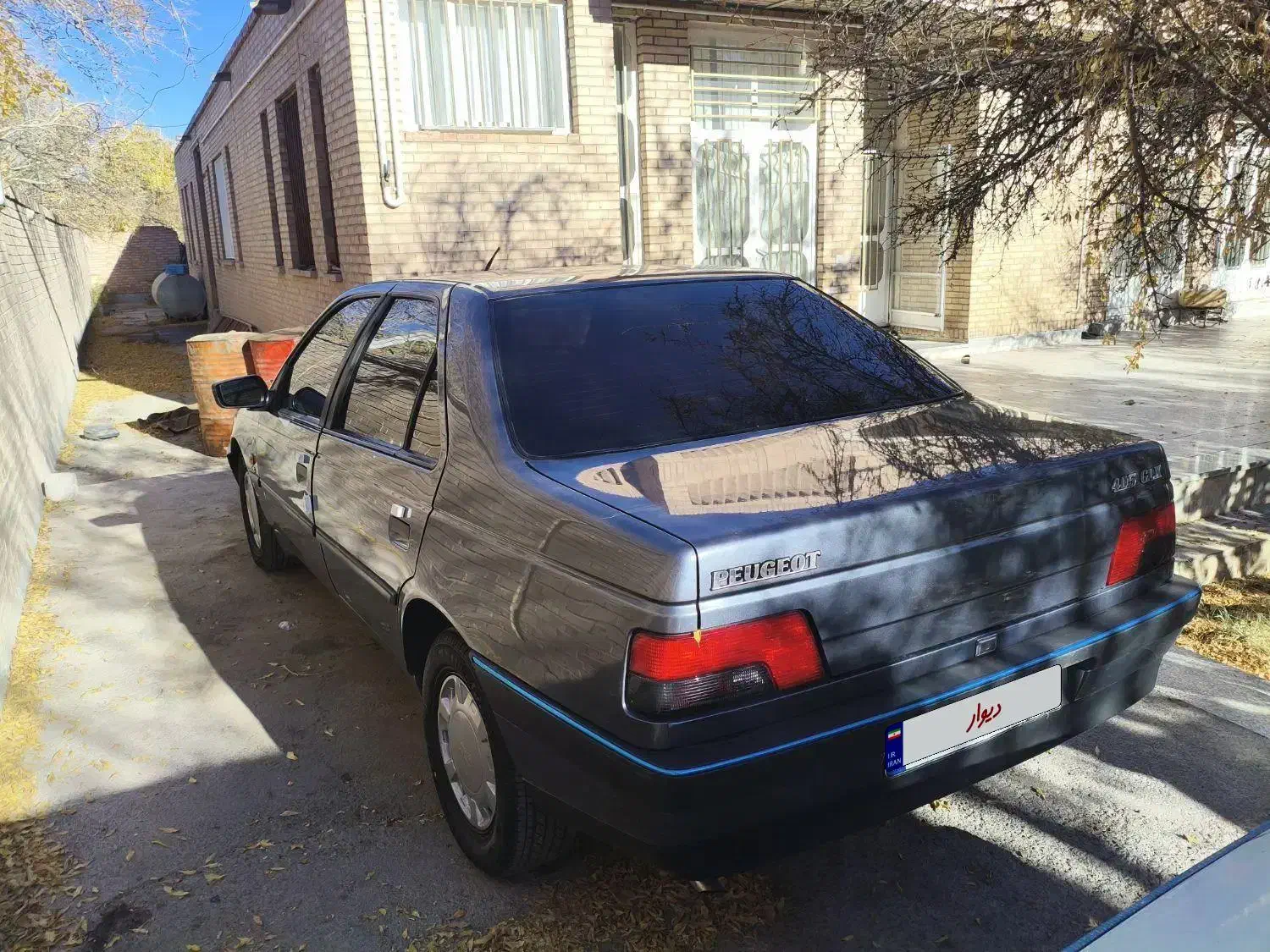 پژو دلفینی مدل 93|خودرو سواری و وانت|راین, |دیوار