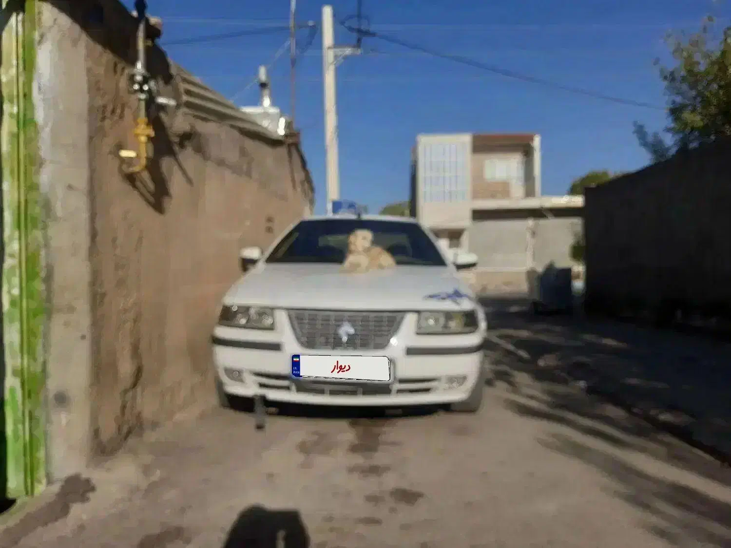 سمند دوگانه شرکتی|خودرو سواری و وانت|ابهر, |دیوار