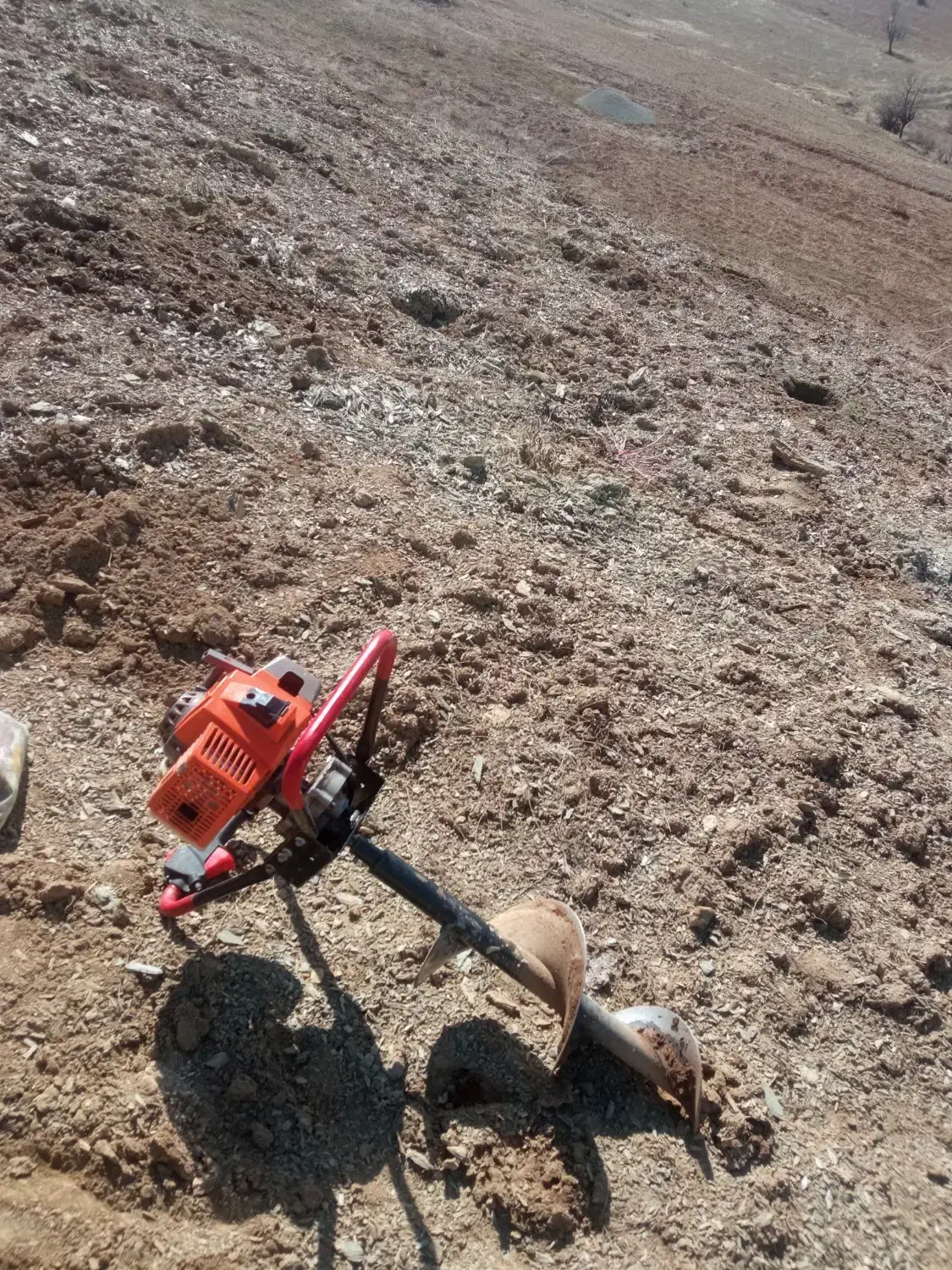 چاله کن|خدمات باغبانی و درختکاری|سروآباد, |دیوار