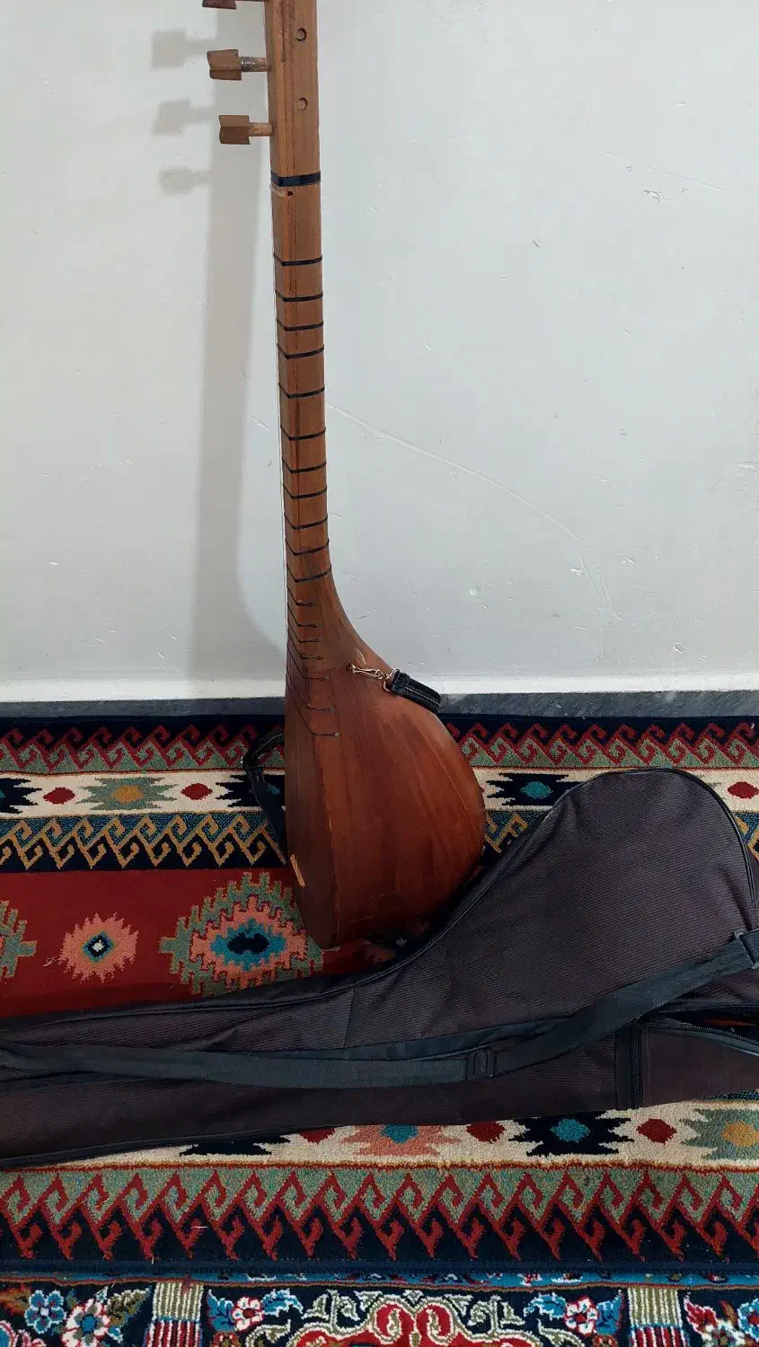 ساز قوپوز|سازهای سنتی|اهر, |دیوار