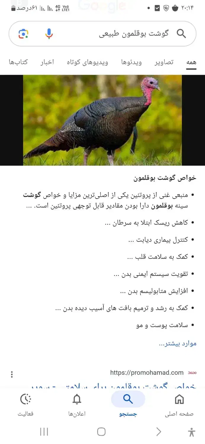 چهار تا هست کاملا طبیعی هستن|حراج|پارس‌آباد, |دیوار