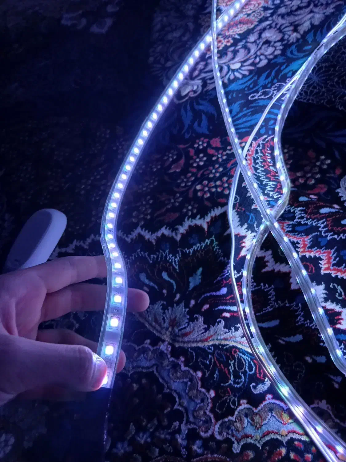 چراغ کنترل دار ۱۶ رنگ|ریسه و چراغ تزئینی|نسیم‌شهر, |دیوار