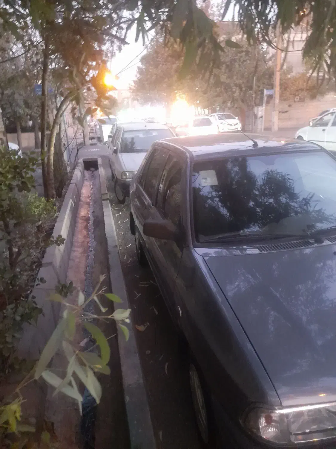 فروش فوری|خودرو سواری و وانت|تهران, تهرانپارس شرقی|دیوار