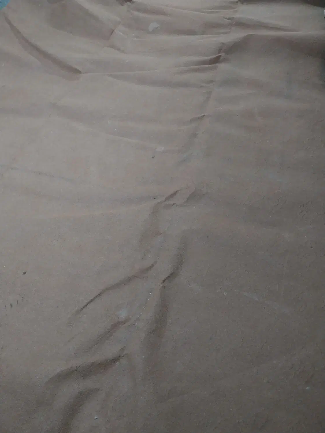 موکت ( نمدی )|موکت|اهواز, کیانپارس |دیوار