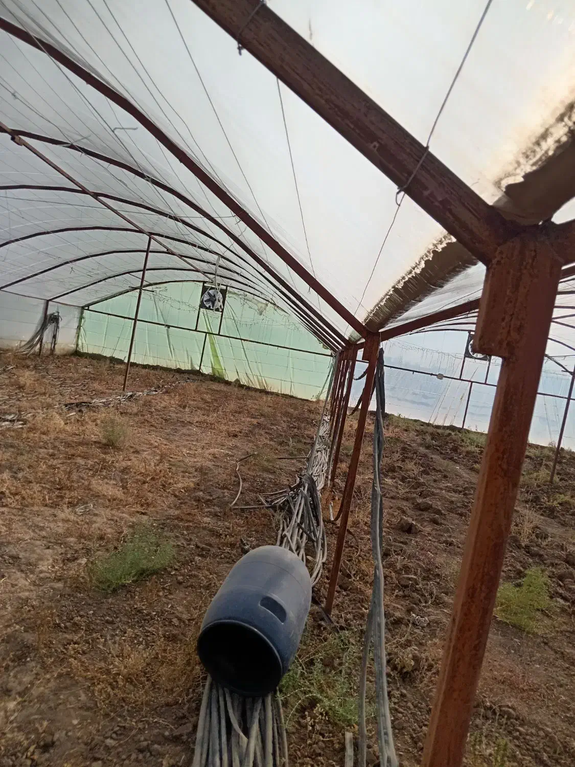 گلخانه با همه امکانات|گل و گیاه طبیعی|میان جلگه, |دیوار