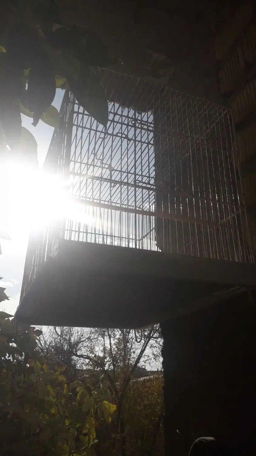 قفس بزرگ دست باف|لوازم جانبی حیوانات|مرودشت, شهرک مهدیه|دیوار