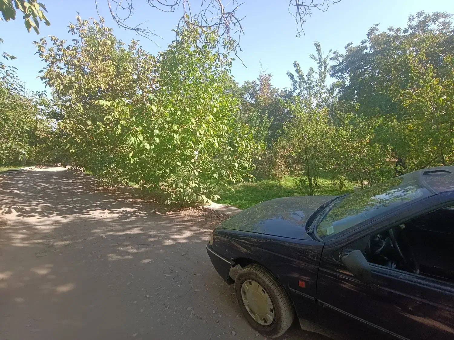 پژو آردی تمییز|خودرو سواری و وانت|یزد, |دیوار