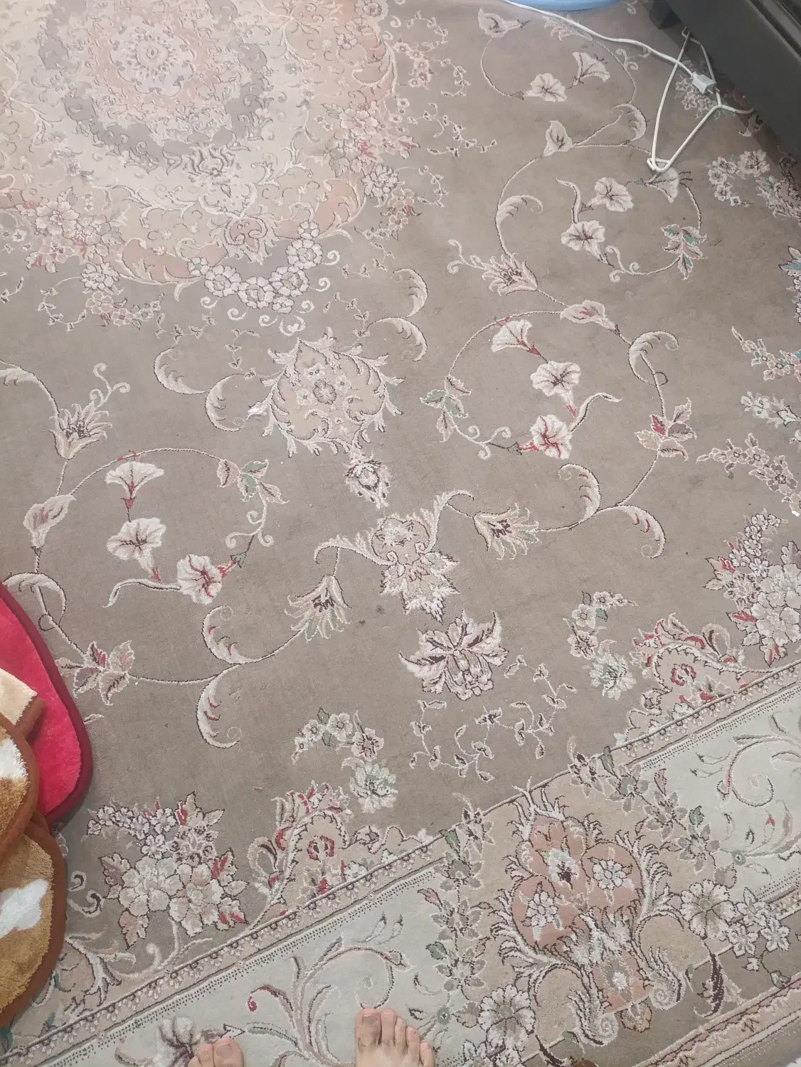 دو فرش ۱۲ متری|فرش|خمین, |دیوار