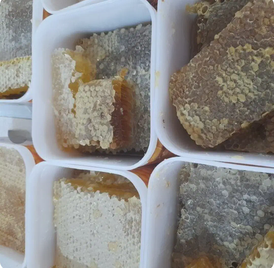 عسل تازه خلخال(برداشت پائیز ۱۴۰۴)|خوردنی و آشامیدنی|رشت, باهنر|دیوار