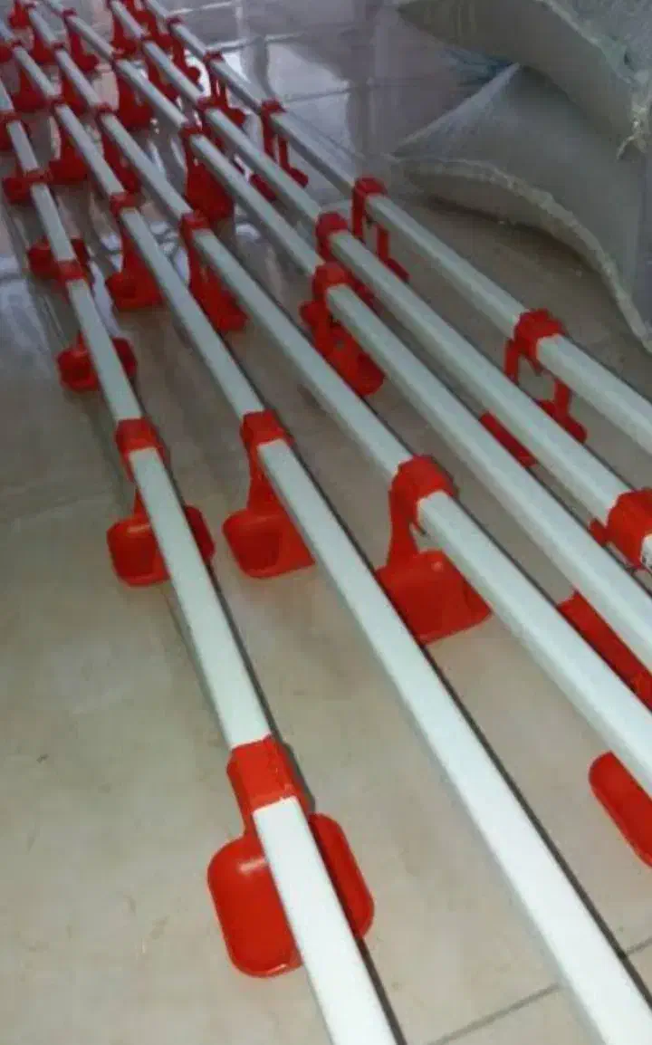 نیپل|ابزارآلات|تولم شهر, |دیوار