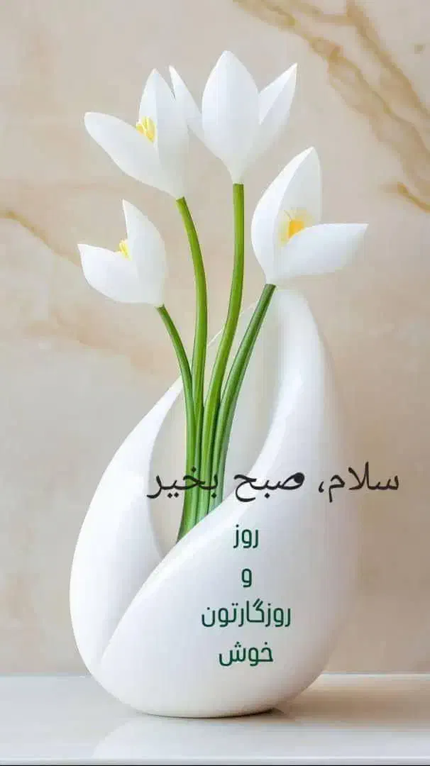 نیازمند ضامن فوری|خدمات مالی، حسابداری، بیمه|یاسوج, |دیوار