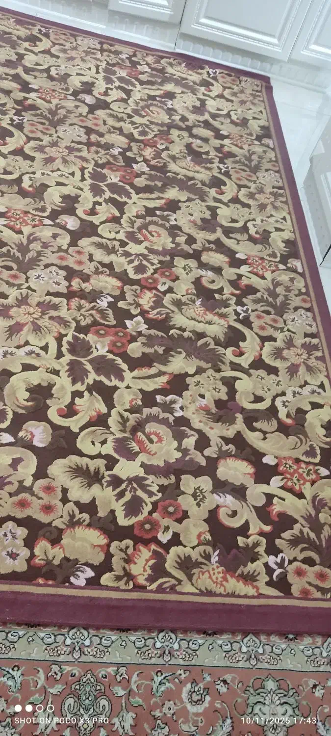 در حد نو|گلیم، جاجیم، گبه|گلپایگان, |دیوار